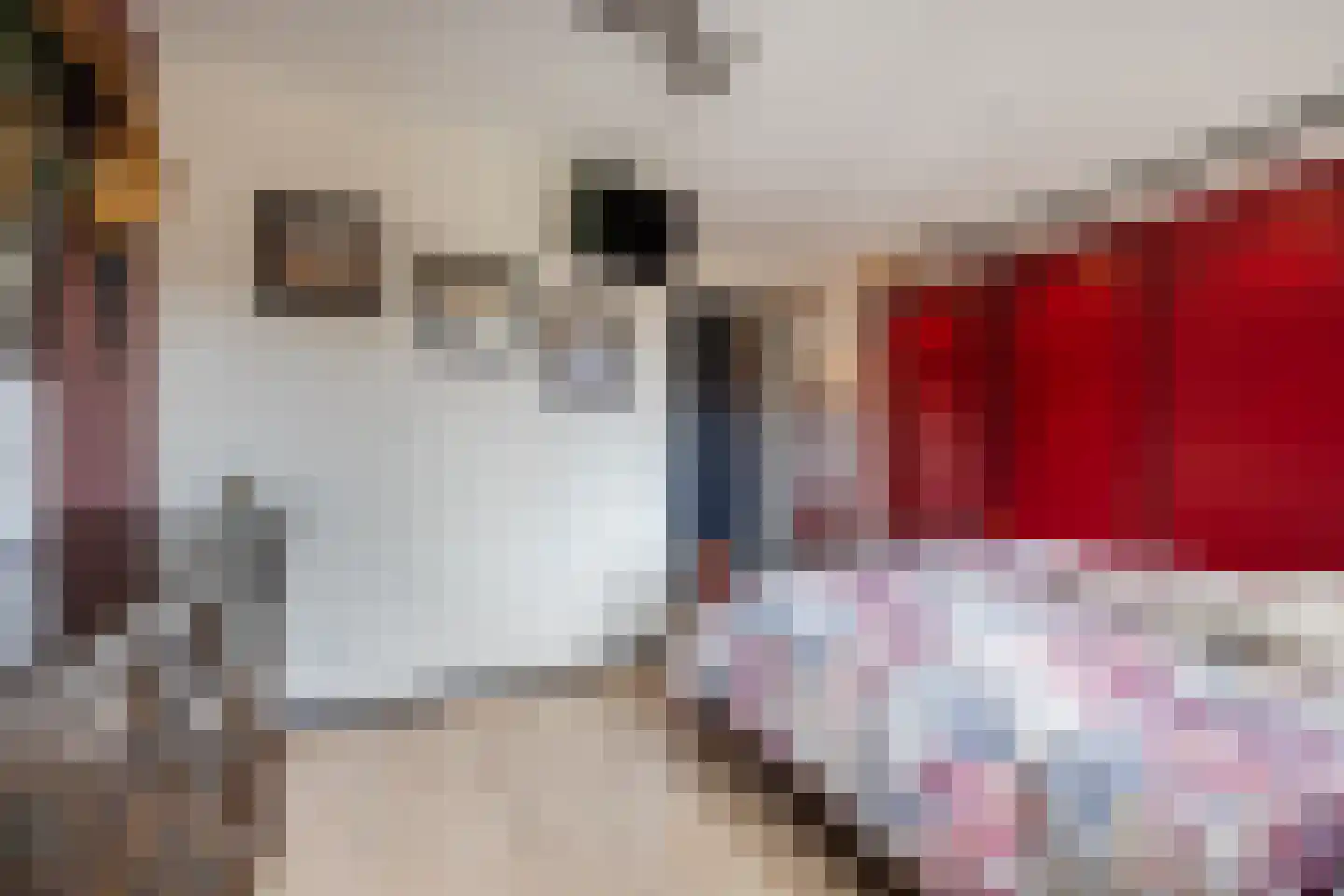 Sperwerhoek 31 Spijkenisse thumbnail 16