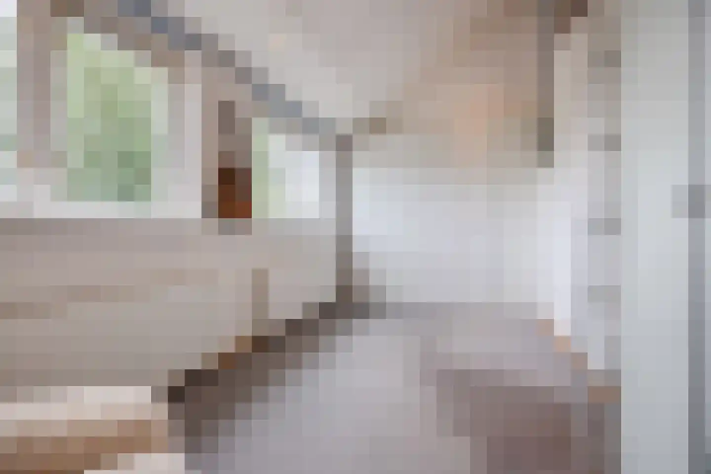 Sperwerhoek 31 Spijkenisse thumbnail 18