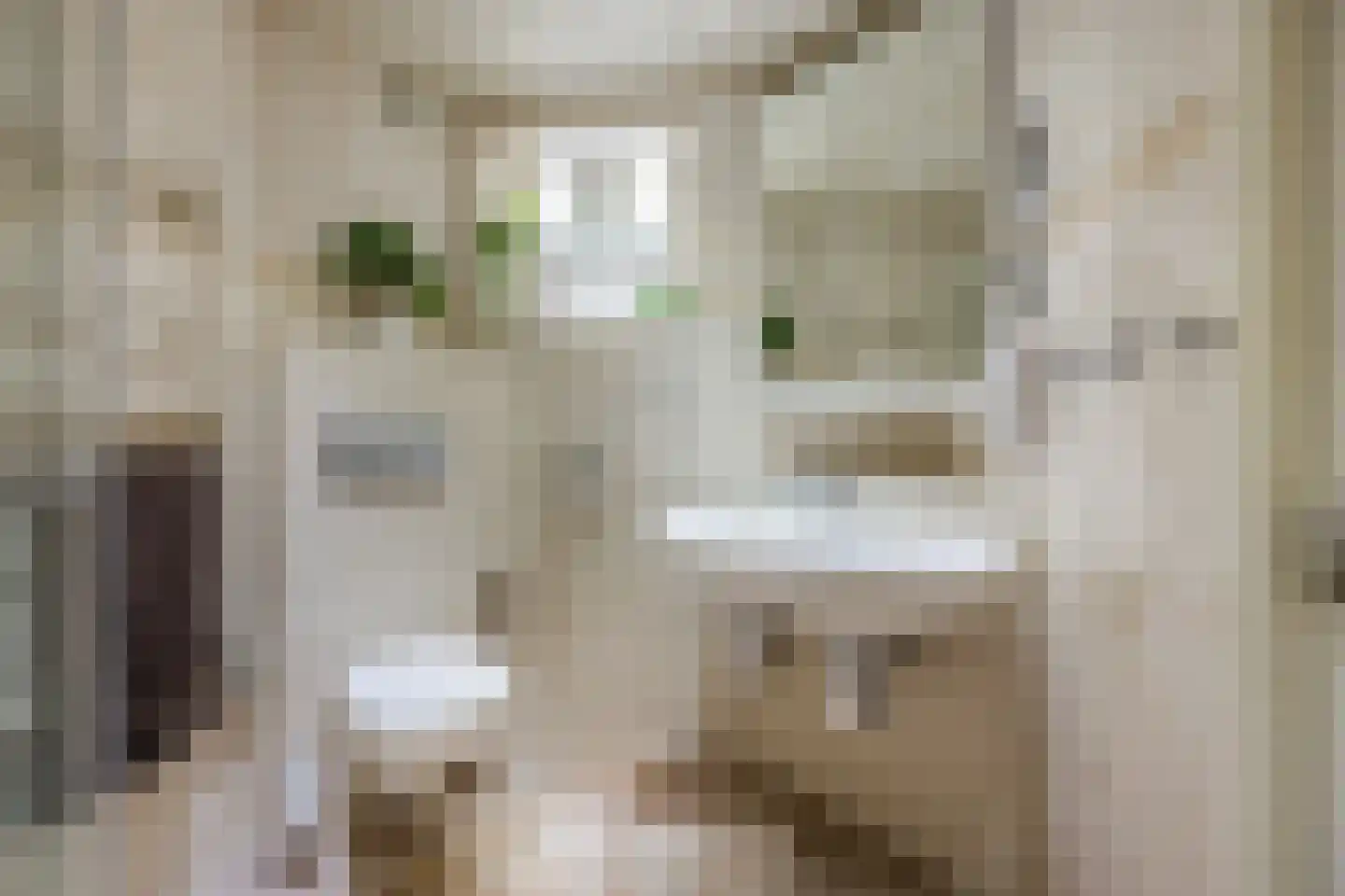 Sperwerhoek 31 Spijkenisse thumbnail 19