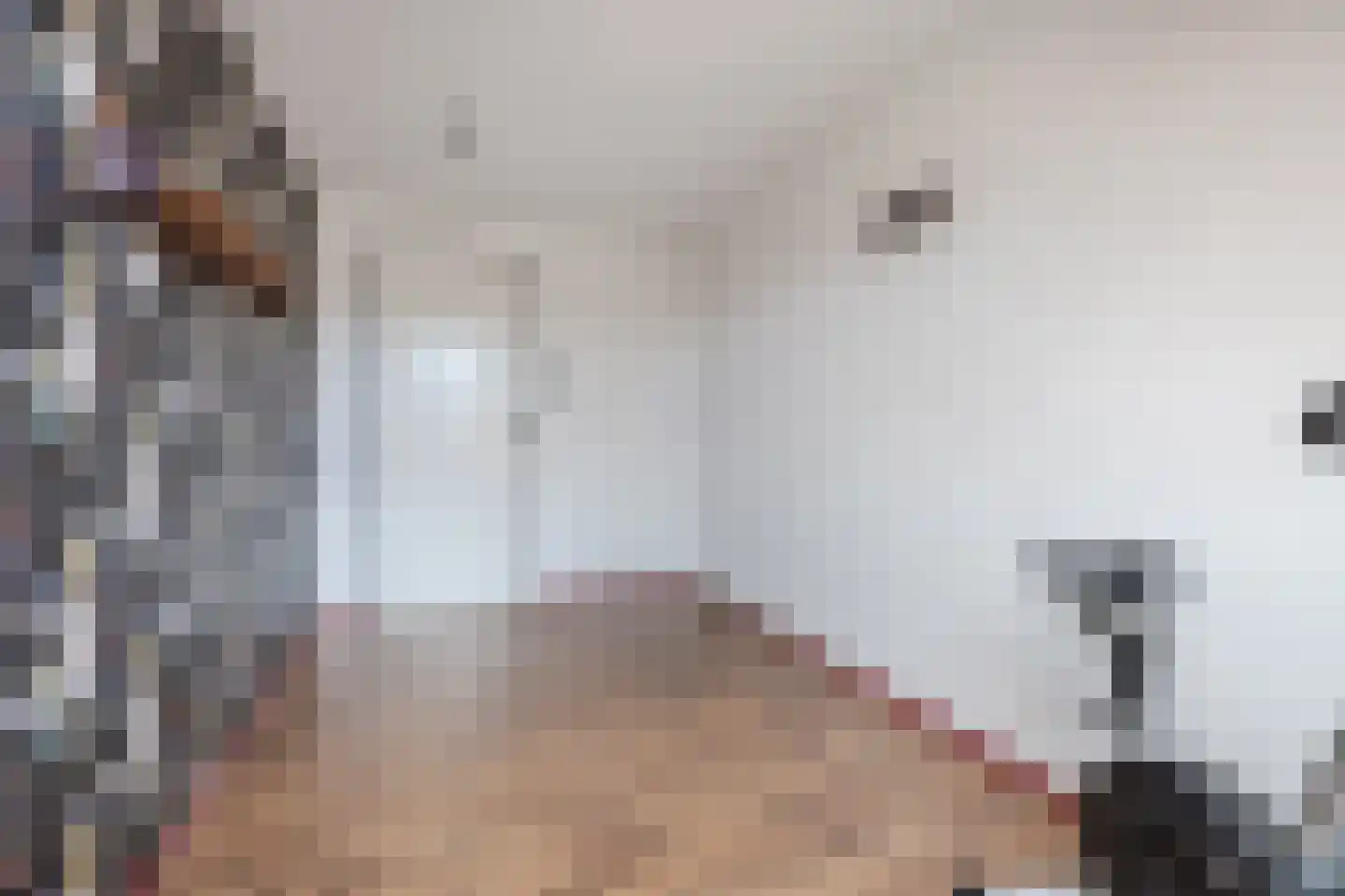 Sperwerhoek 31 Spijkenisse thumbnail 27