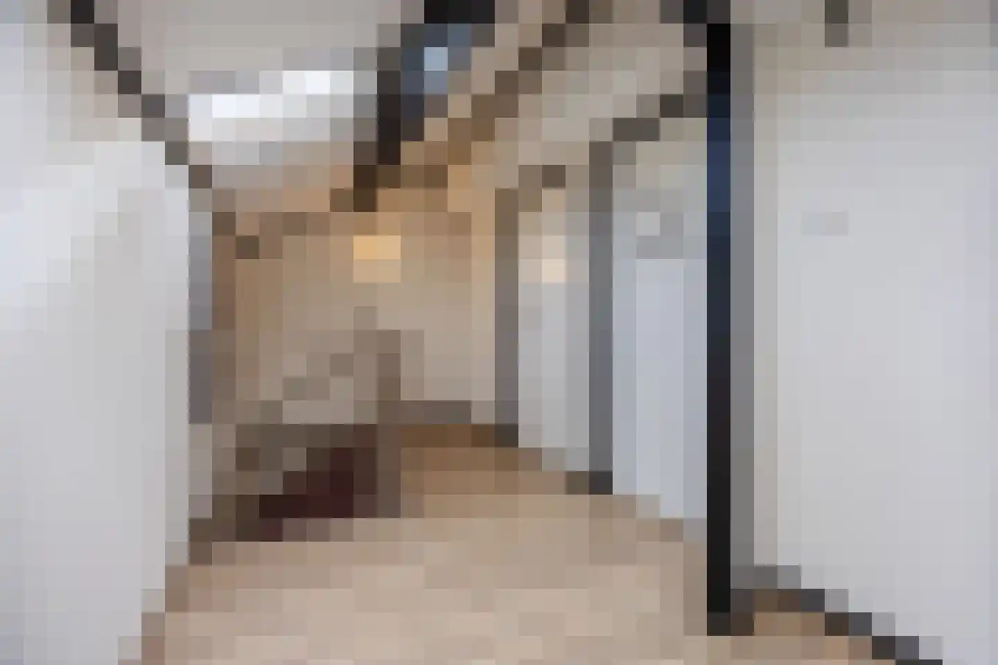 Sperwerhoek 31 Spijkenisse thumbnail 28