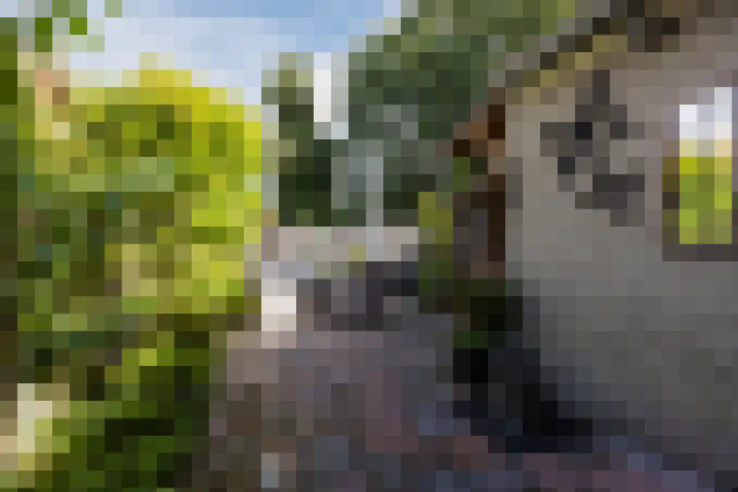 Sperwerhoek 31 Spijkenisse thumbnail 30