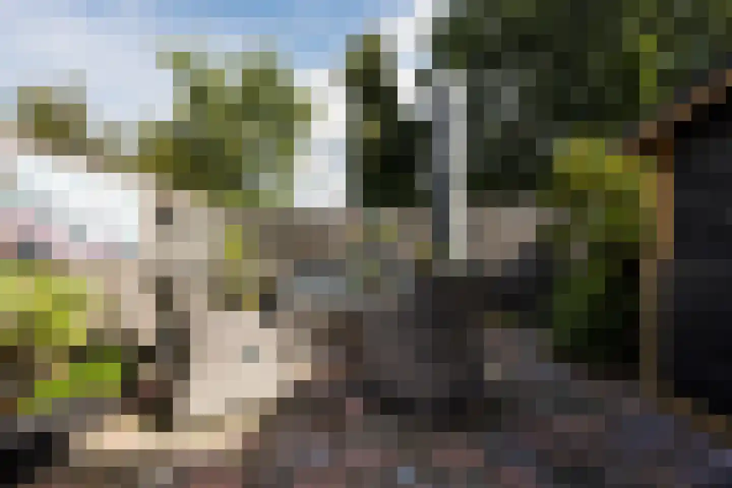 Sperwerhoek 31 Spijkenisse thumbnail 31