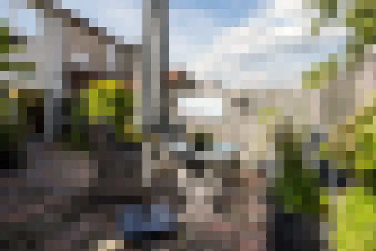 Sperwerhoek 31 Spijkenisse thumbnail 32