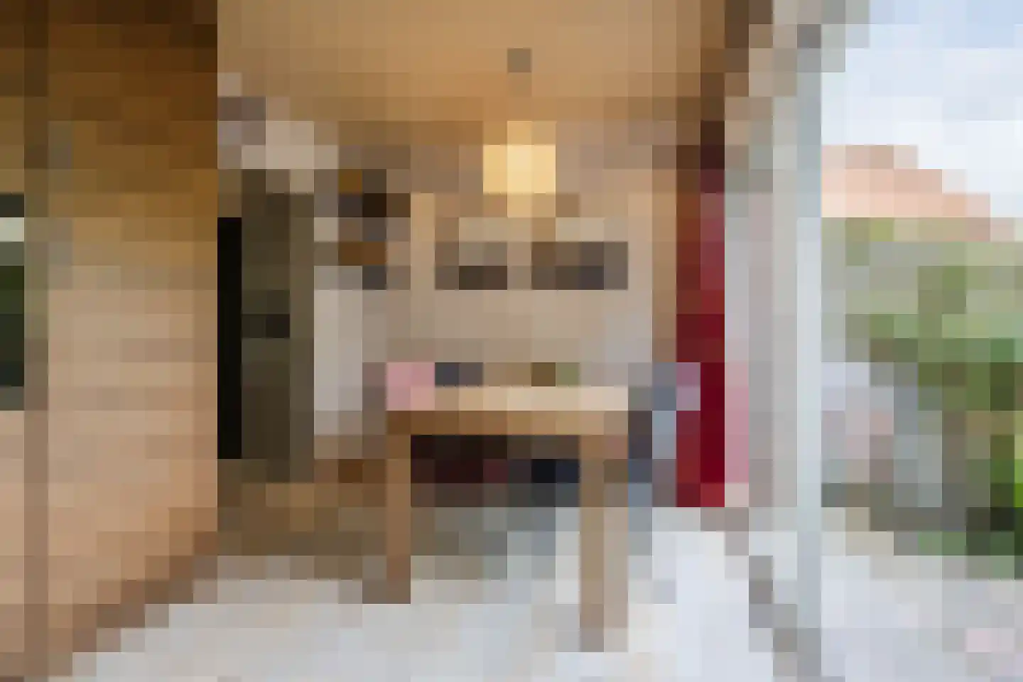 Sperwerhoek 31 Spijkenisse thumbnail 8