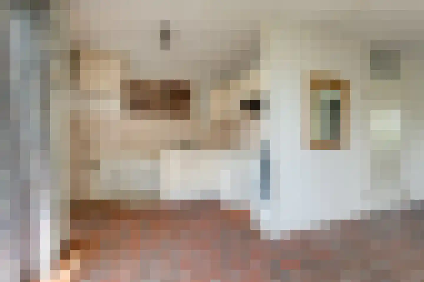 Sperwerhoek 36 Waddinxveen thumbnail 10