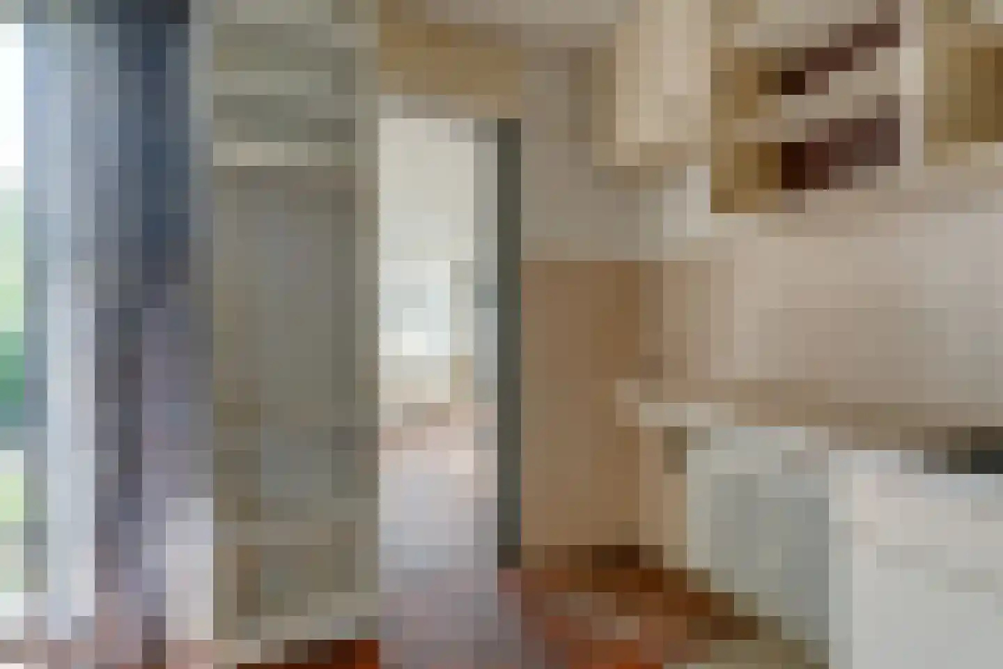 Sperwerhoek 36 Waddinxveen thumbnail 11