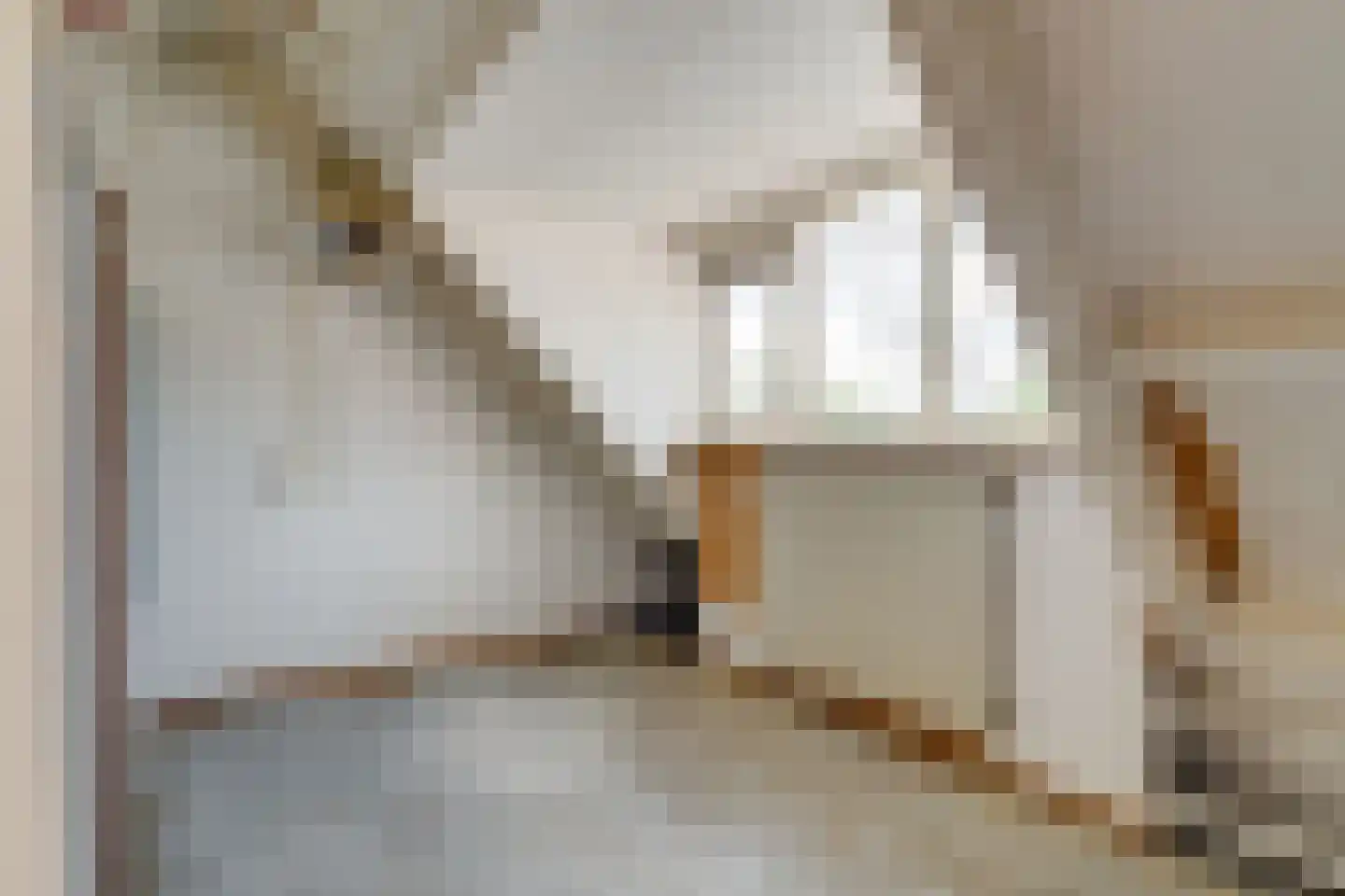 Sperwerhoek 36 Waddinxveen thumbnail 18