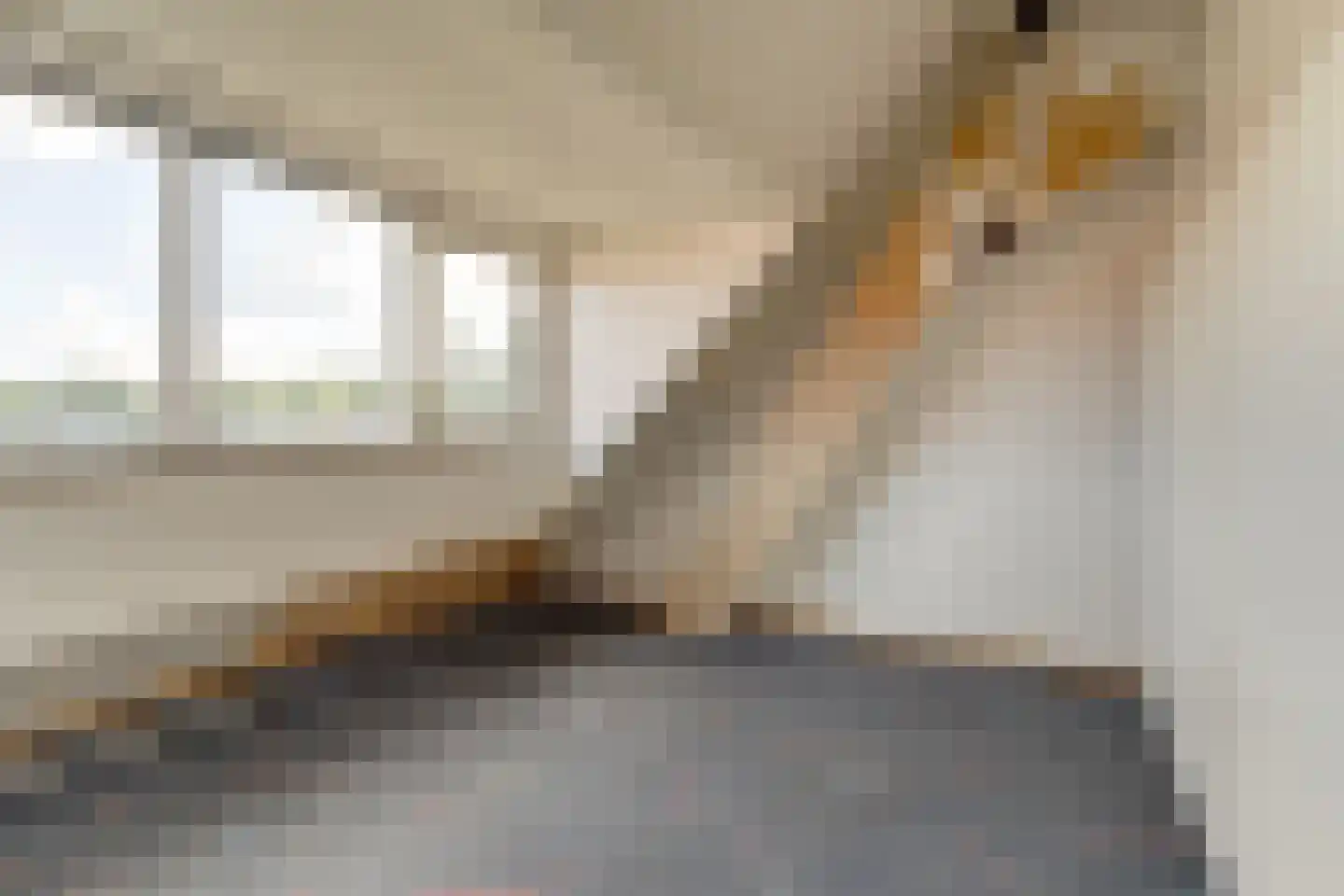 Sperwerhoek 36 Waddinxveen thumbnail 20