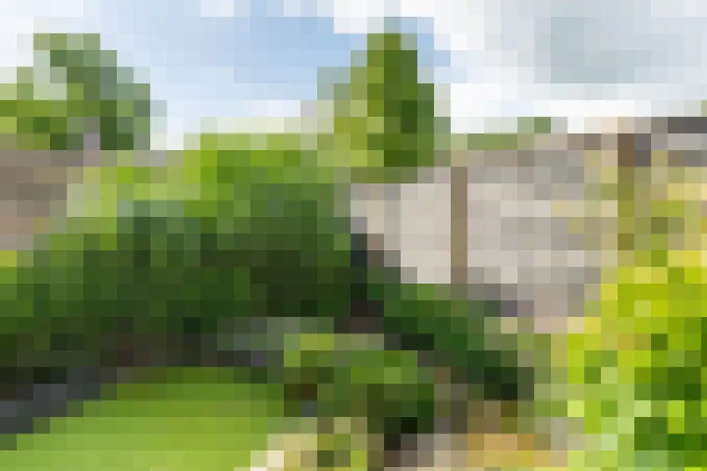 Sperwerhoek 36 Waddinxveen thumbnail 23