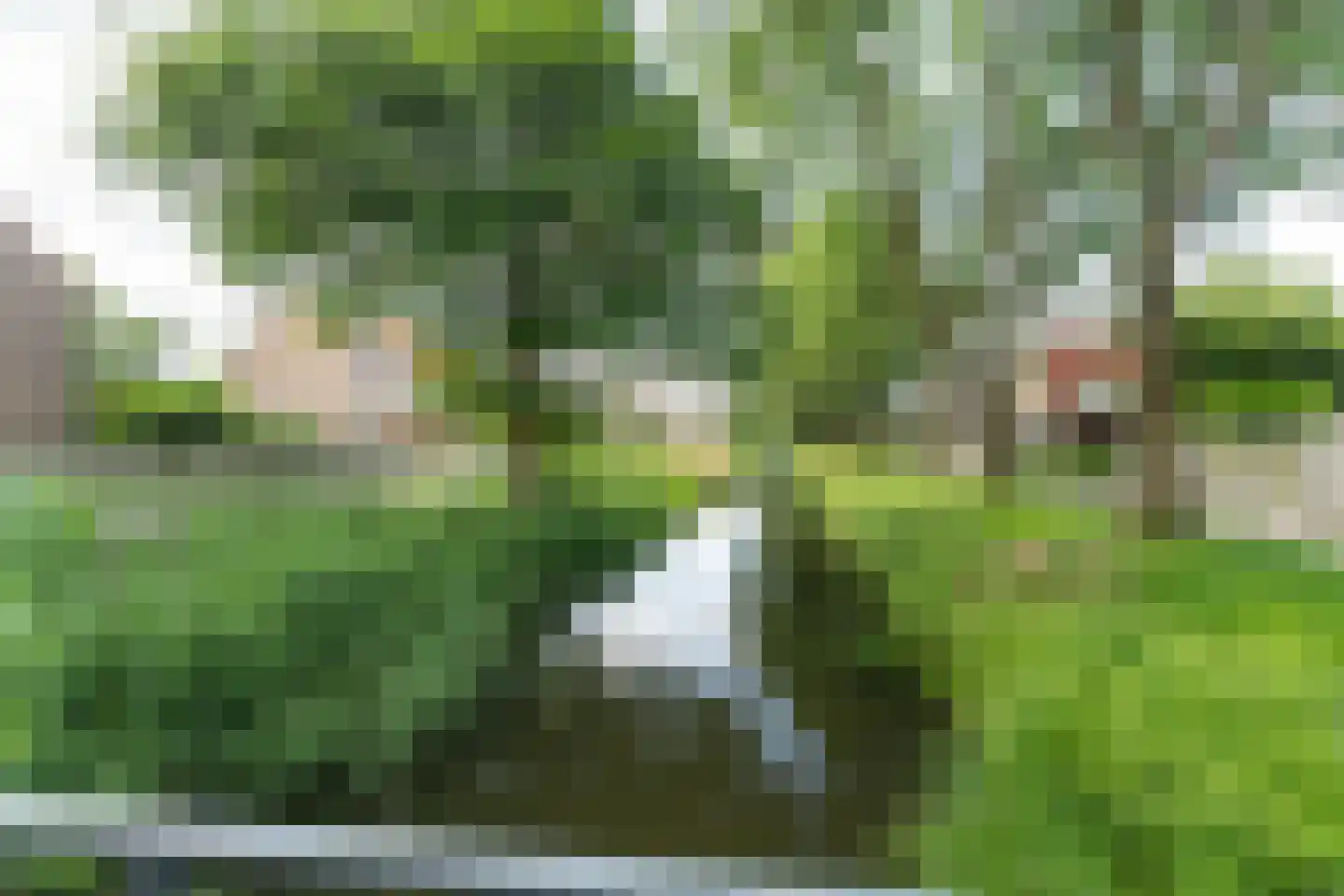 Sperwerhoek 36 Waddinxveen thumbnail 31