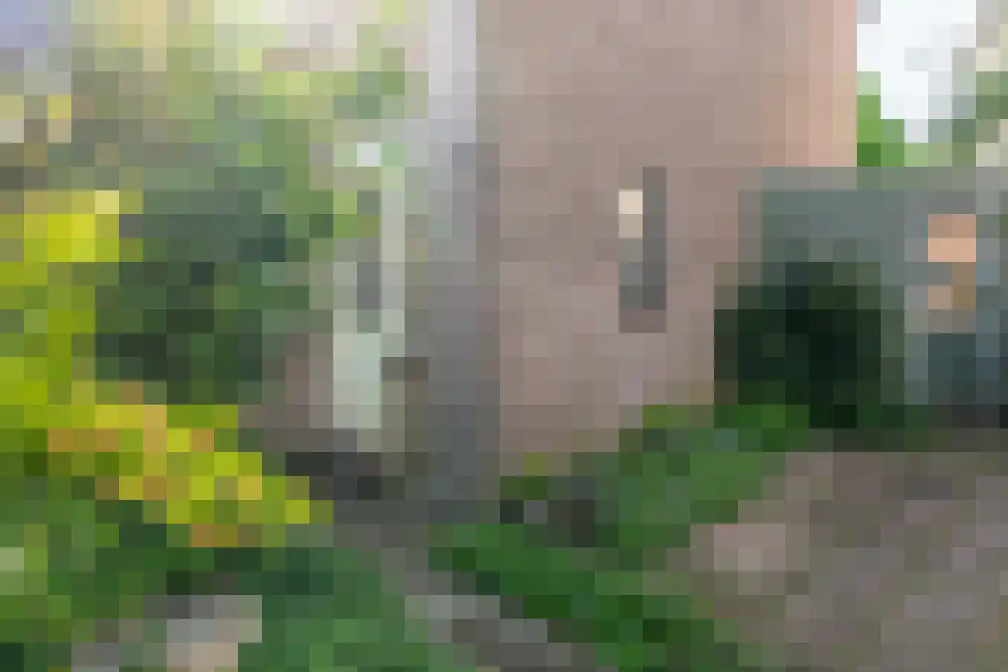 Sperwerhoek 36 Waddinxveen thumbnail 6