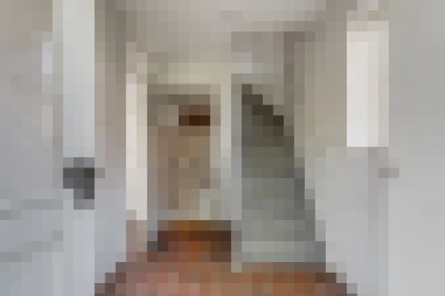 Sperwerhoek 36 Waddinxveen thumbnail 7