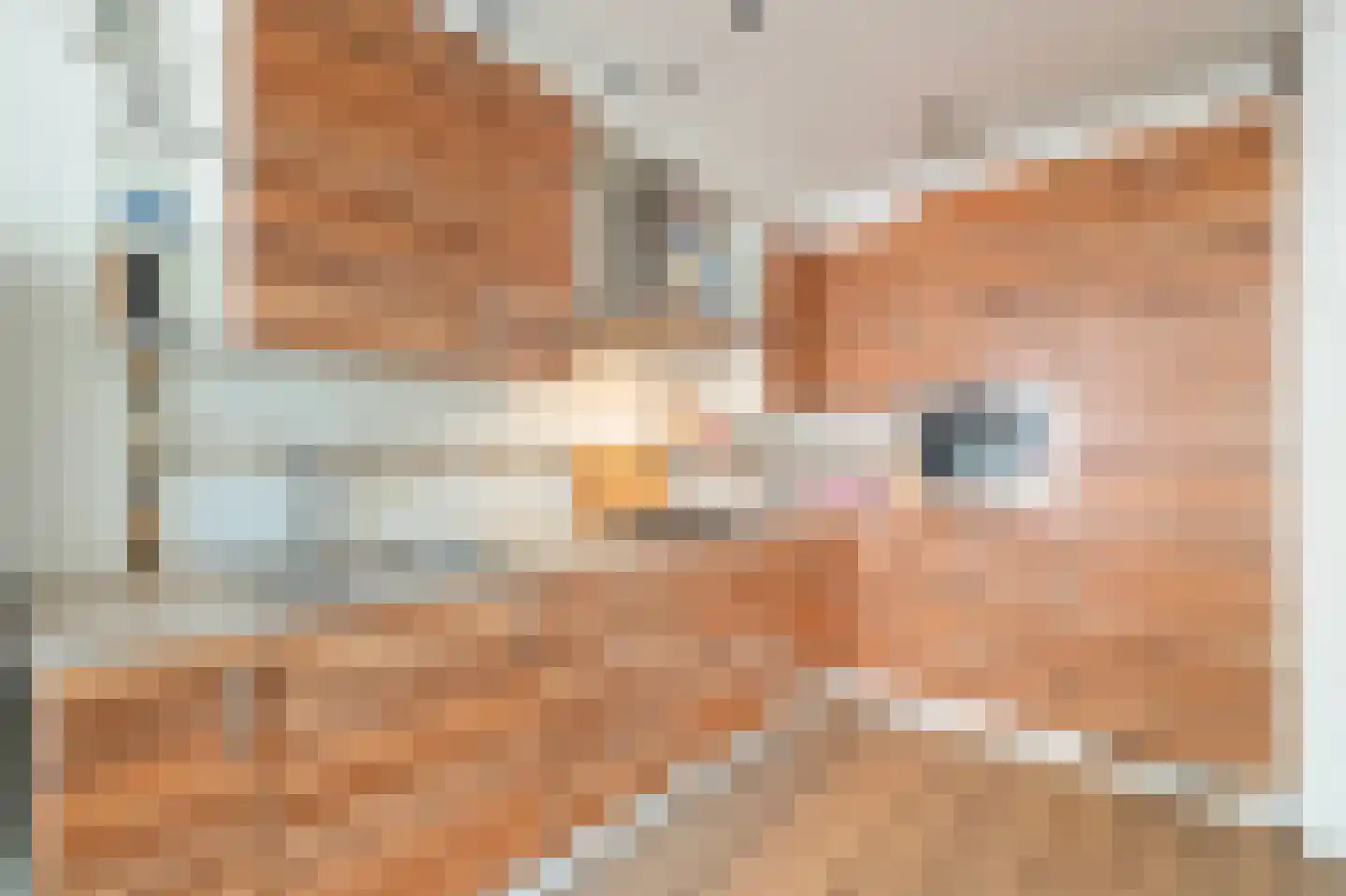 Sperwerhof 110 Schagen thumbnail 13