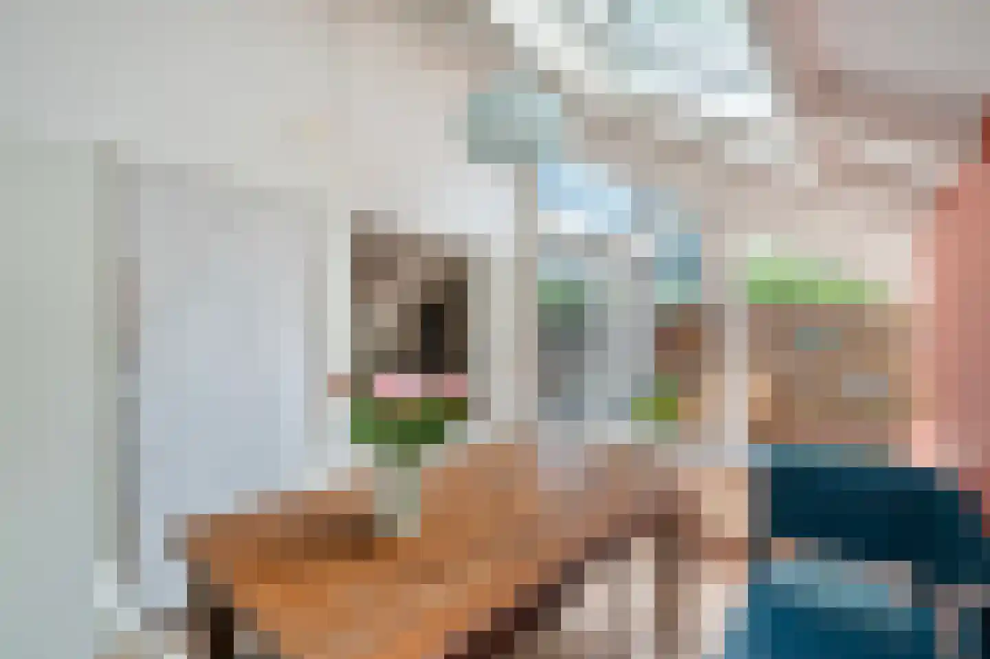 Sperwerhof 110 Schagen thumbnail 16