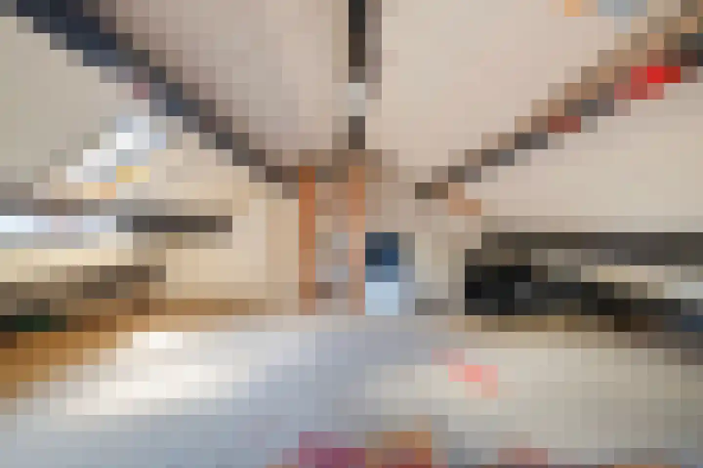 Sperwerhof 110 Schagen thumbnail 28