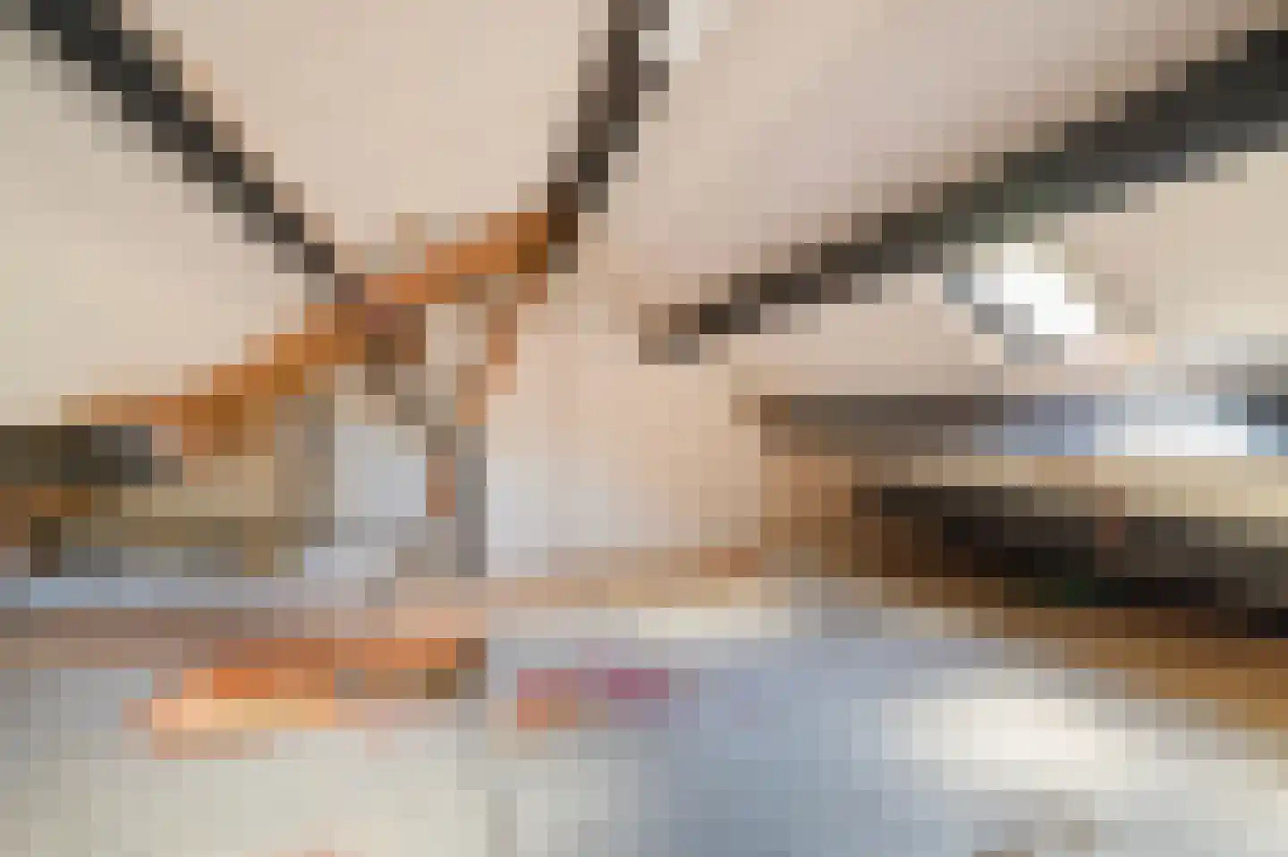 Sperwerhof 110 Schagen thumbnail 29