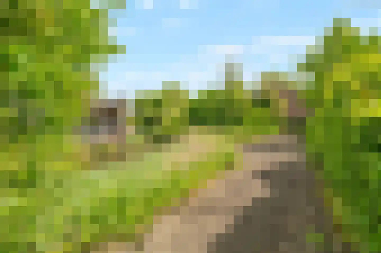 Sperwerhof 110 Schagen thumbnail 4