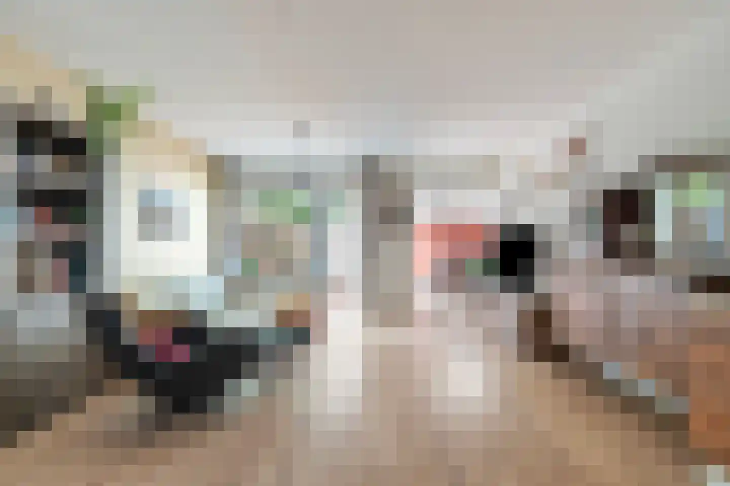 Sperwerhof 110 Schagen thumbnail 8
