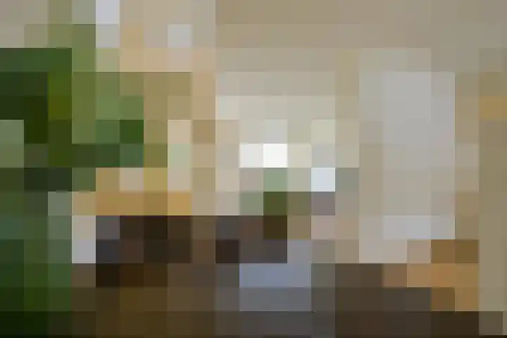 Sperwerhof 125 Schagen thumbnail 10
