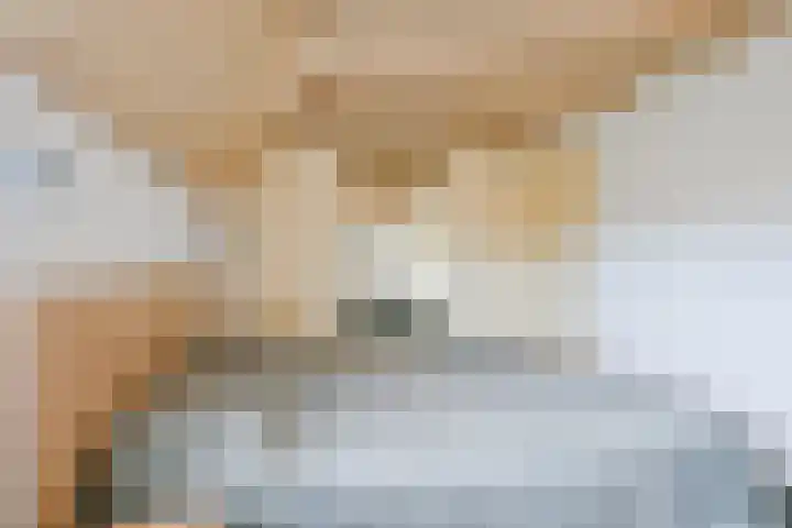 Sperwerhof 125 Schagen thumbnail 14