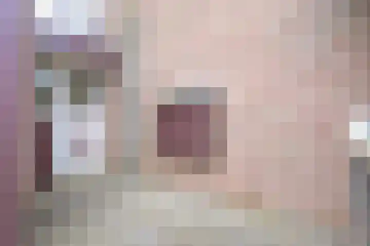 Sperwerhof 125 Schagen thumbnail 20