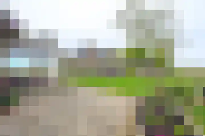 Sperwerhof 125 Schagen thumbnail 23