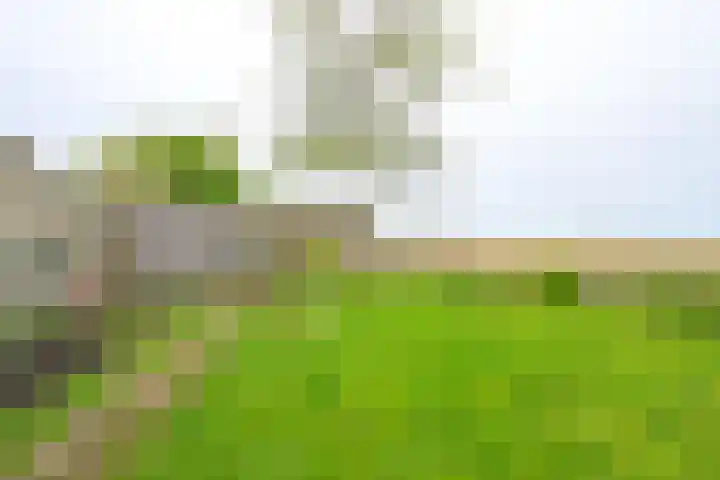 Sperwerhof 125 Schagen thumbnail 24