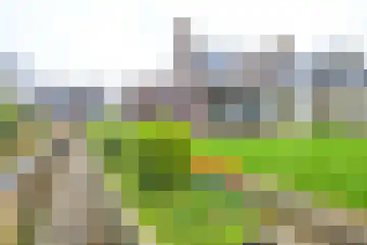 Sperwerhof 125 Schagen thumbnail 26