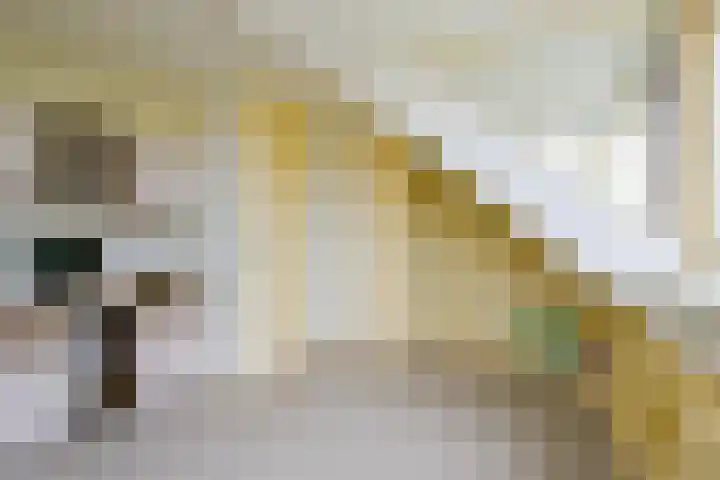 Sperwerhof 125 Schagen thumbnail 31