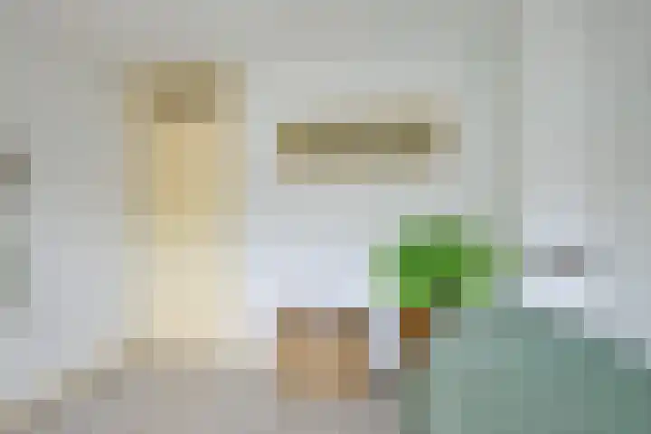 Sperwerhof 125 Schagen thumbnail 34