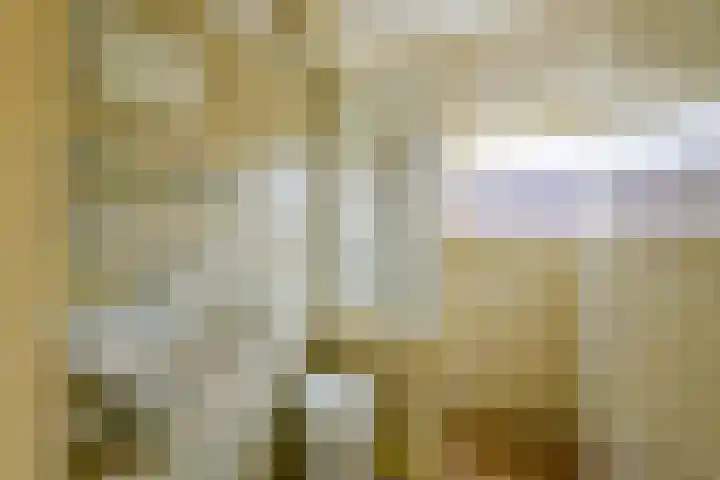 Sperwerhof 125 Schagen thumbnail 36