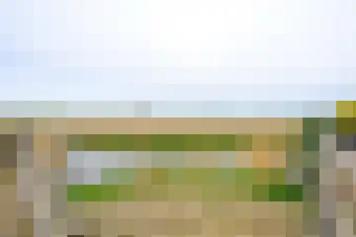 Sperwerhof 125 Schagen thumbnail 43