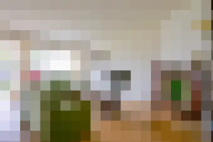 Sperwerhof 125 Schagen thumbnail 5
