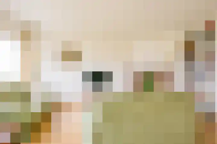 Sperwerhof 125 Schagen thumbnail 7