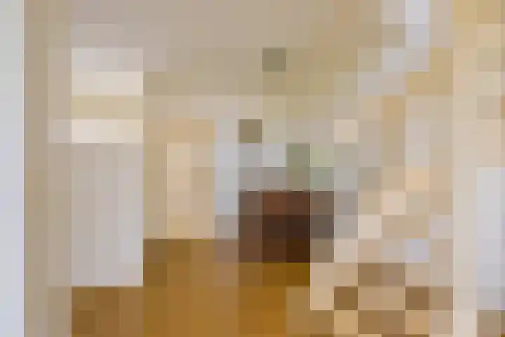 Sperwerhof 125 Schagen thumbnail 8