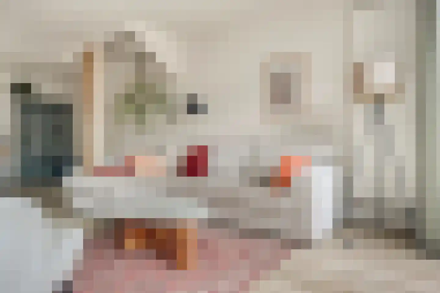 Sperwerhof 128 Schagen thumbnail 11