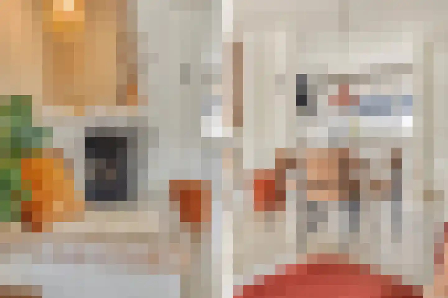 Sperwerhof 128 Schagen thumbnail 13