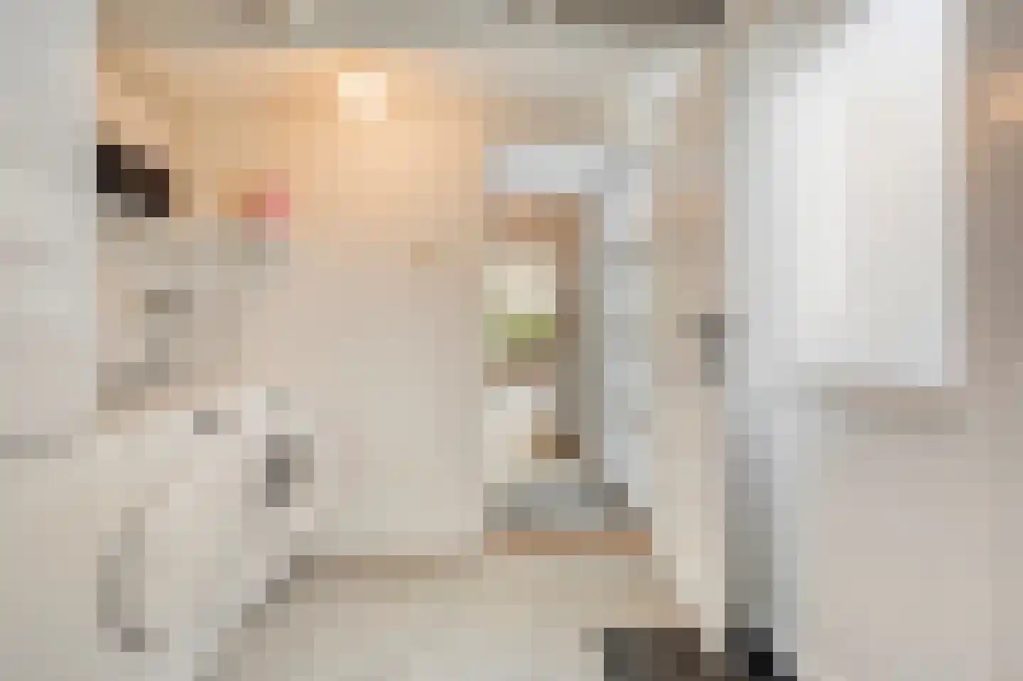 Sperwerhof 128 Schagen thumbnail 23