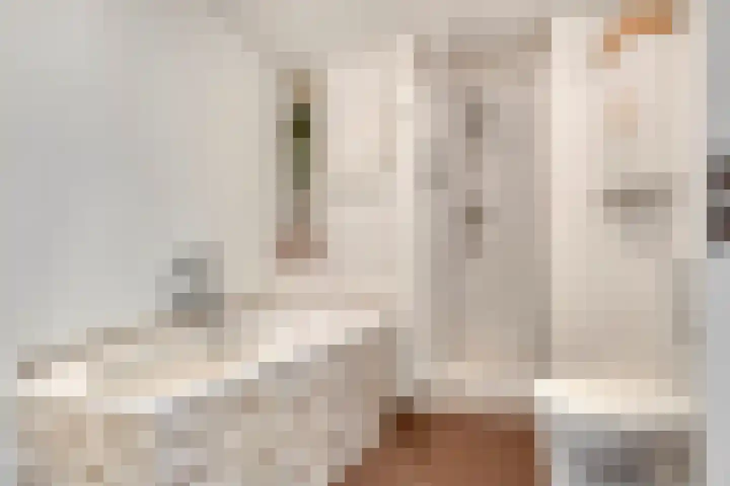 Sperwerhof 128 Schagen thumbnail 29