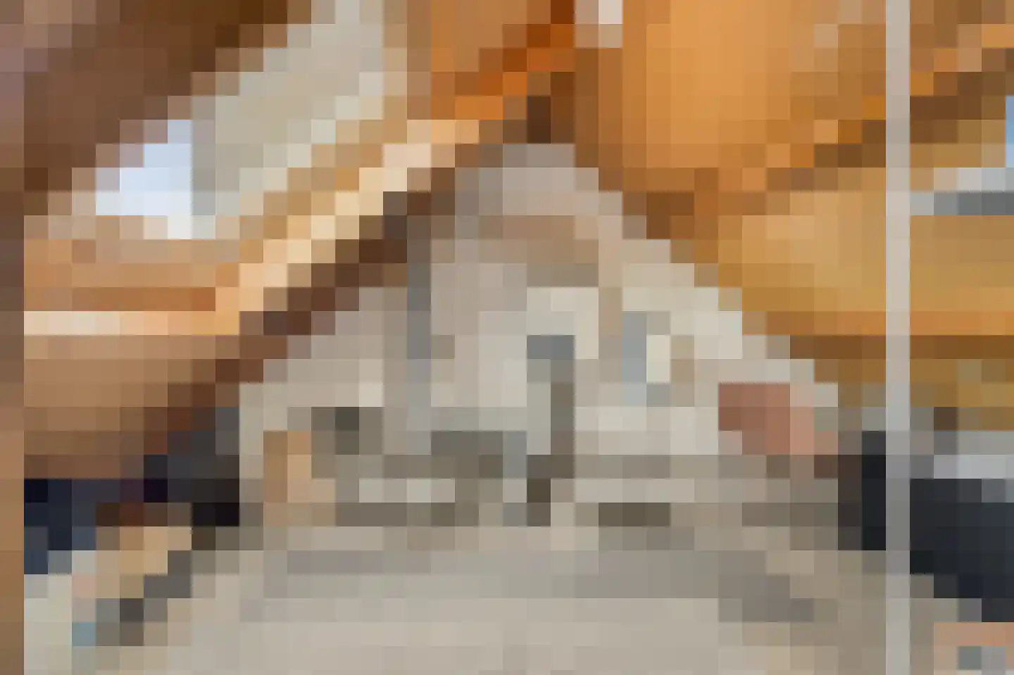 Sperwerhof 128 Schagen thumbnail 30