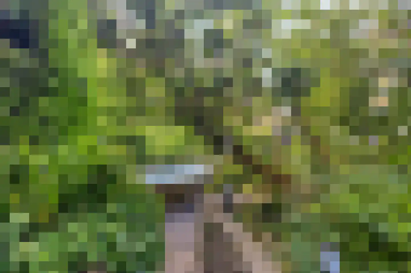 Sperwerhof 128 Schagen thumbnail 33