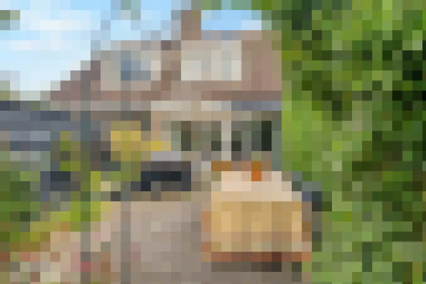 Sperwerhof 128 Schagen thumbnail 34