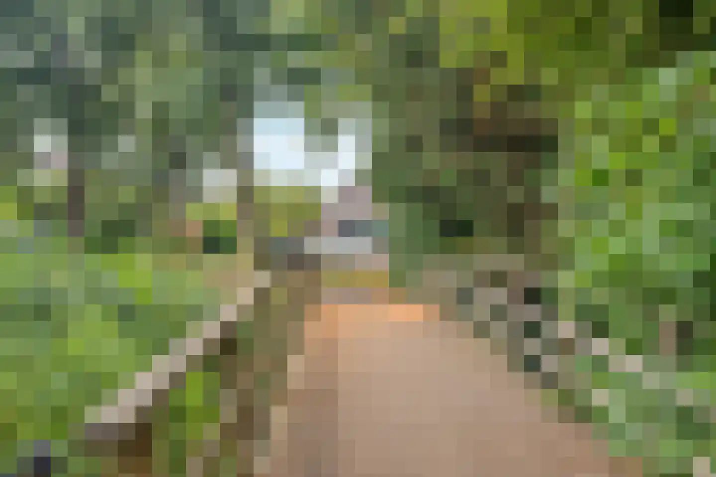 Sperwerhof 128 Schagen thumbnail 36