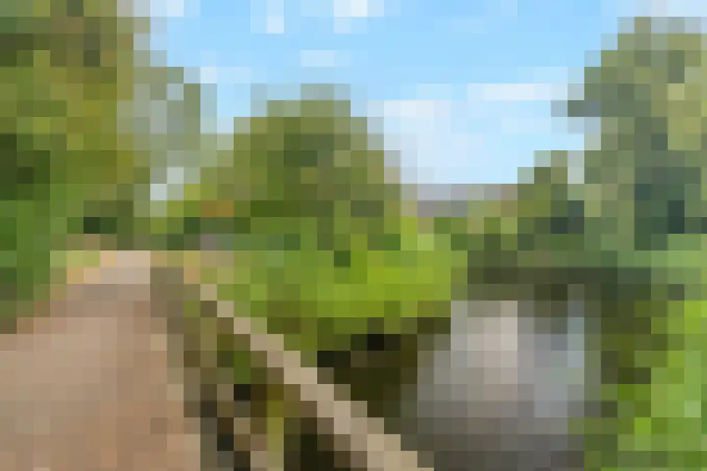 Sperwerhof 128 Schagen thumbnail 38