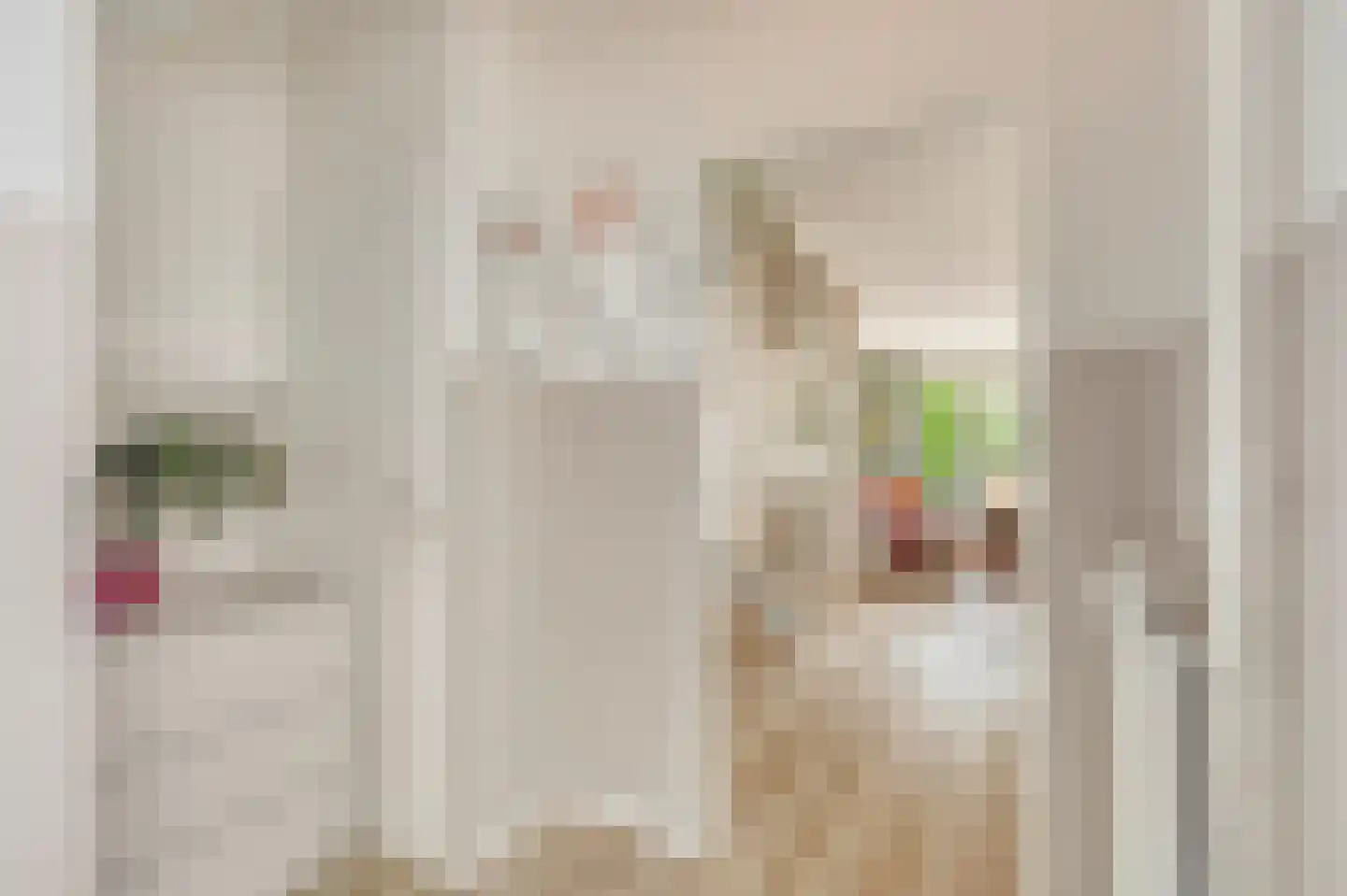 Sperwerhof 128 Schagen thumbnail 7