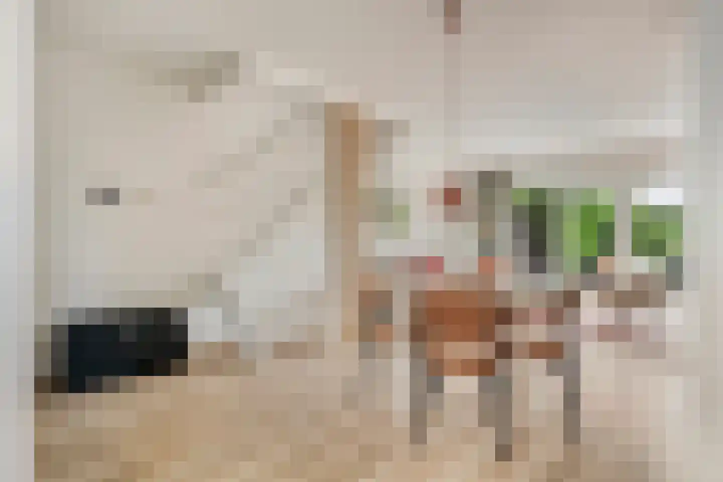 Sperwerhof 128 Schagen thumbnail 9
