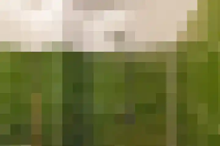 Sperwerhof 141 Schagen thumbnail 17