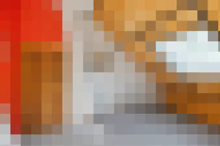 Sperwerhof 141 Schagen thumbnail 18