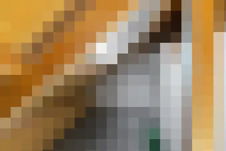 Sperwerhof 141 Schagen thumbnail 20